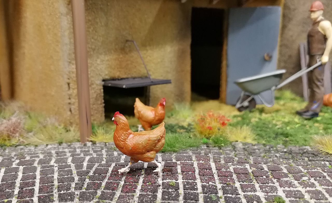 Hühner 3D